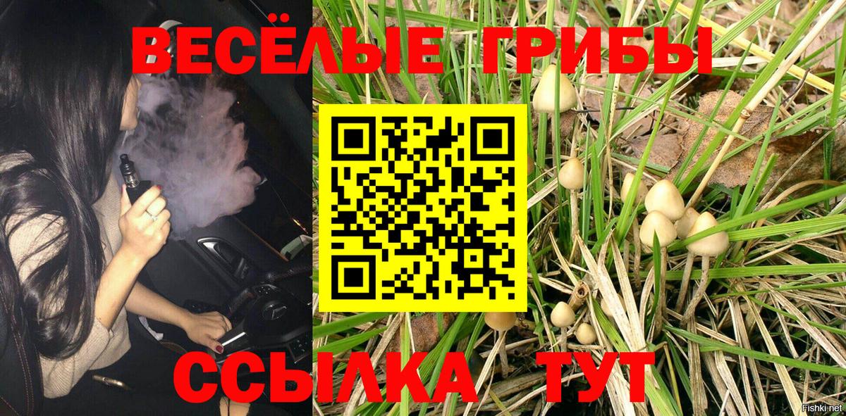 Галлюциногенные грибы Psilocybine cubensis  Галлюциногенные грибы Magic Shrooms  Зеленодольск  Вход с VPN 